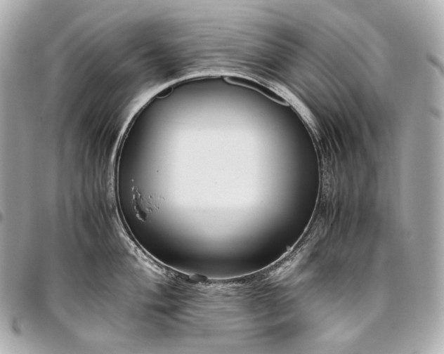 X0000096981004200802221430