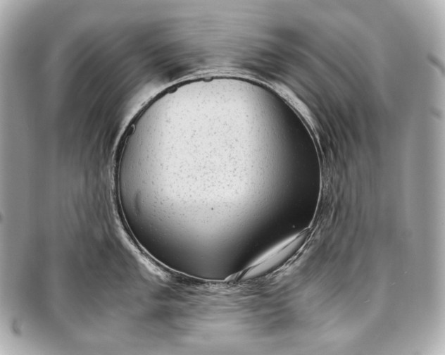 X0000096981005200802221430