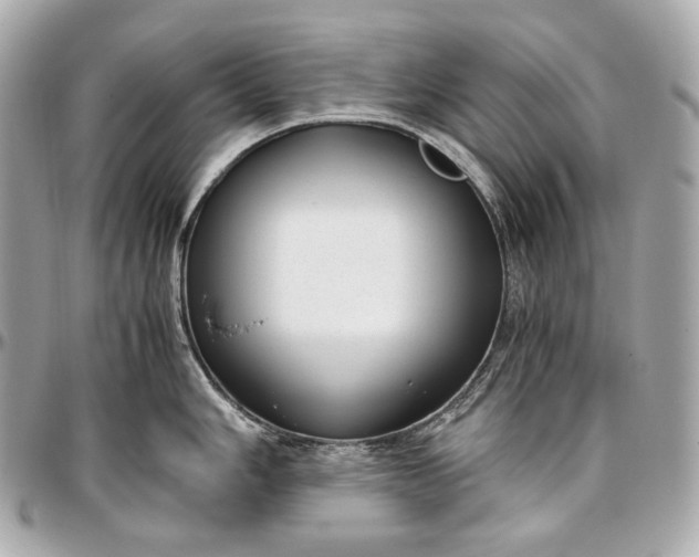 X0000096981006200802221430