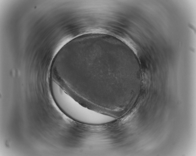 X0000096981007200802221430