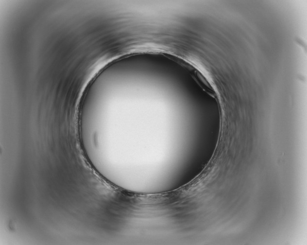 X0000096981008200802221430