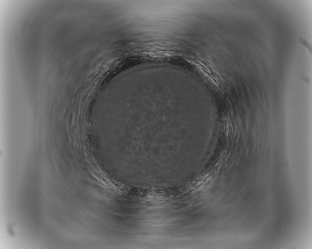 X0000096981009200802221429