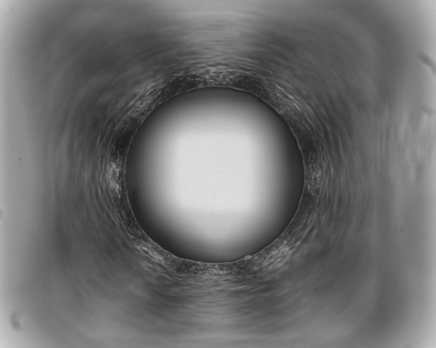 X0000096981010200802221429