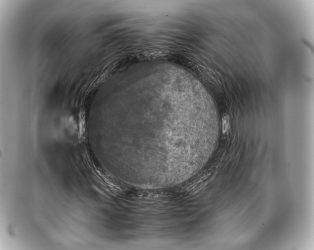 X0000096981011200802221429