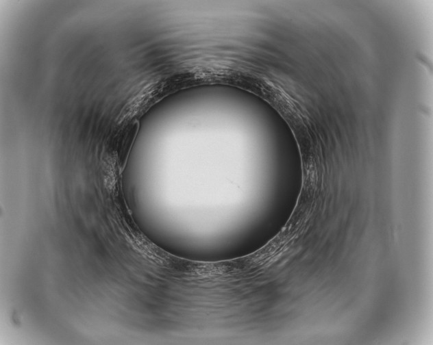 X0000096981012200802221429