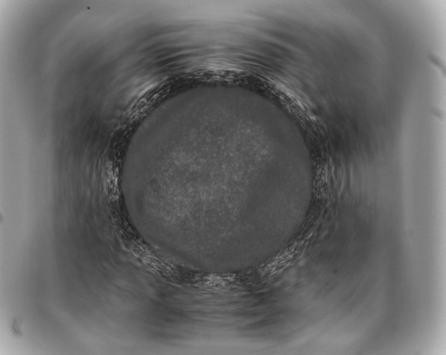 X0000096981013200802221429