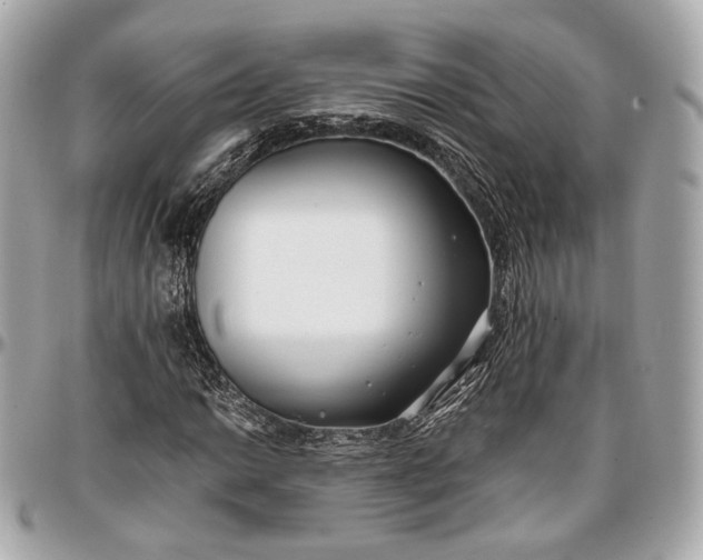 X0000096981014200802221429