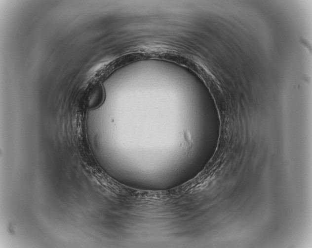 X0000096981016200802221429