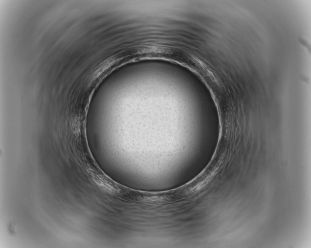 X0000096981017200802221429