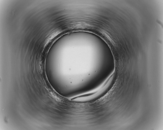 X0000096981018200802221429