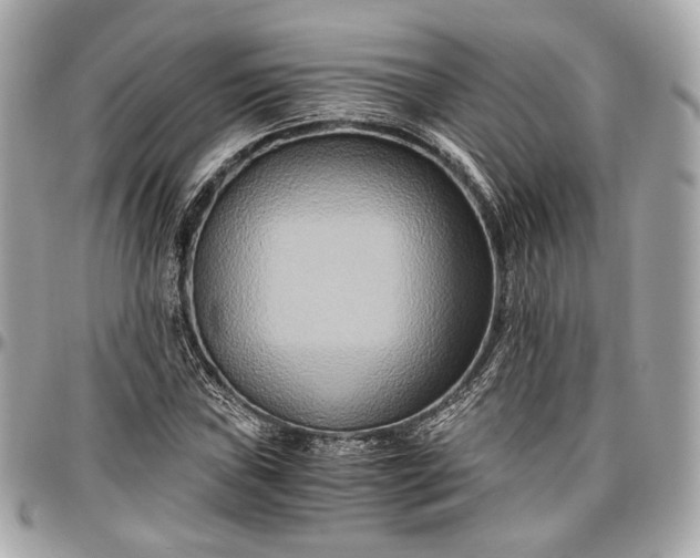 X0000096981019200802221429