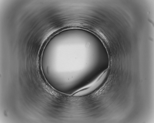 X0000096981020200802221429