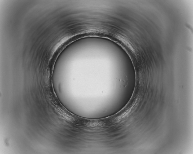 X0000096981021200802221429