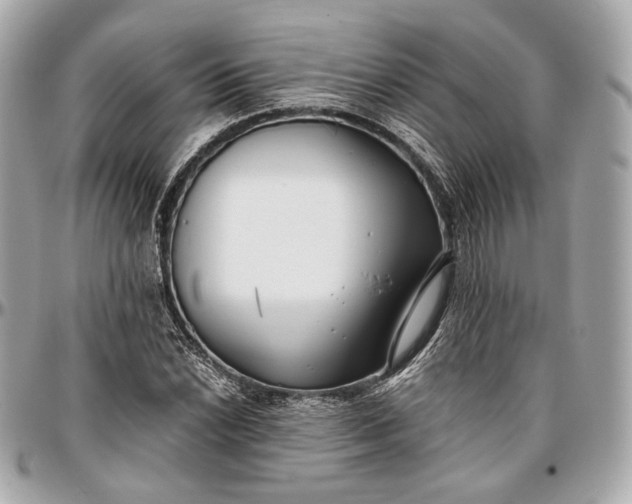 X0000096981022200802221429