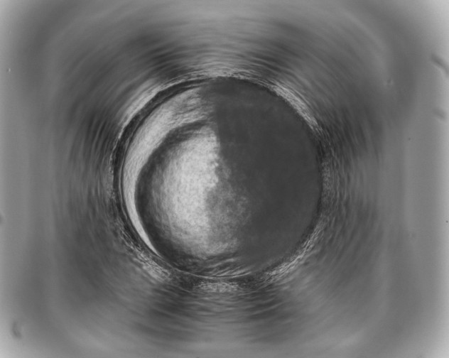 X0000096981023200802221429