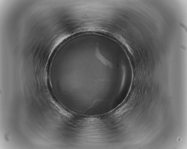 X0000096981024200802221429