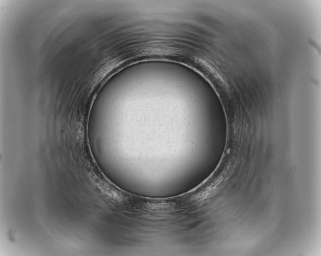 X0000096981025200802221429