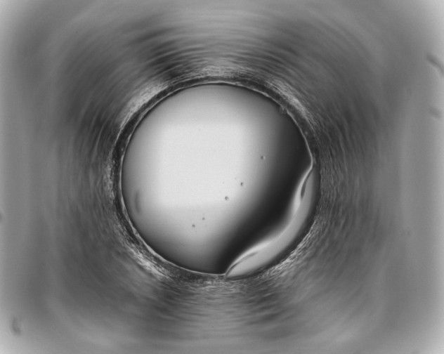 X0000096981026200802221429