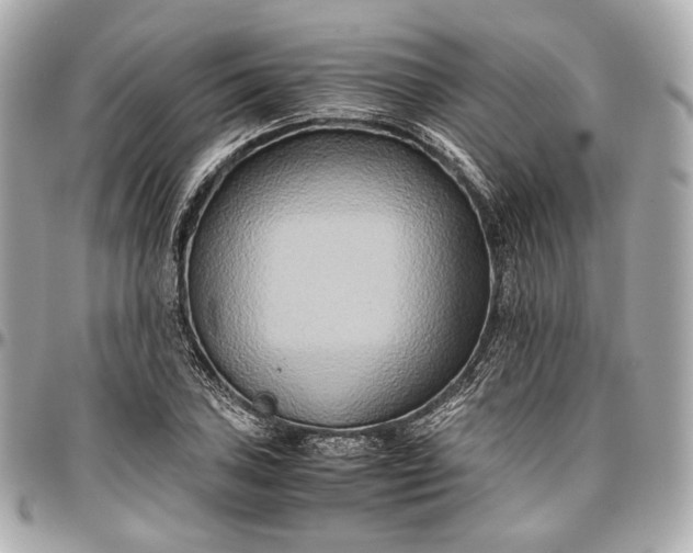 X0000096981027200802221429