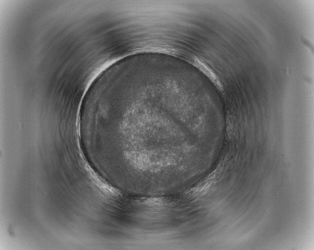 X0000096981028200802221429