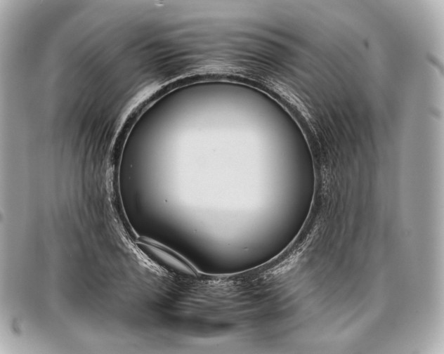 X0000096981029200802221429