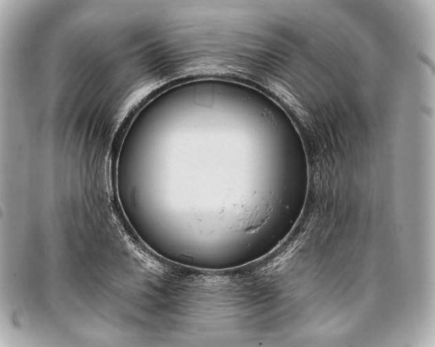 X0000096981030200802221429