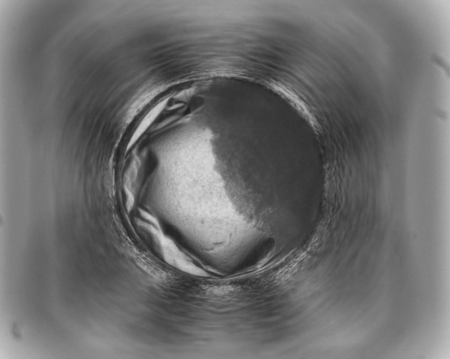 X0000096981031200802221429