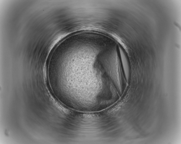 X0000096981032200802221429