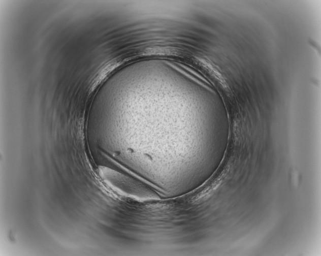 X0000096981033200802221429