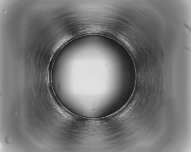 X0000096981034200802221429