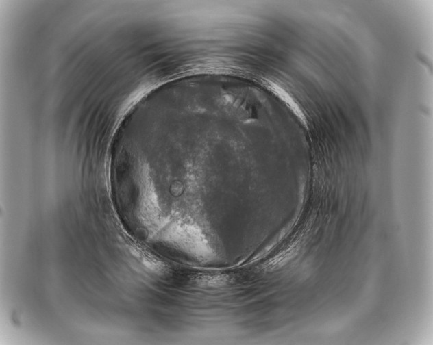 X0000096981035200802221429