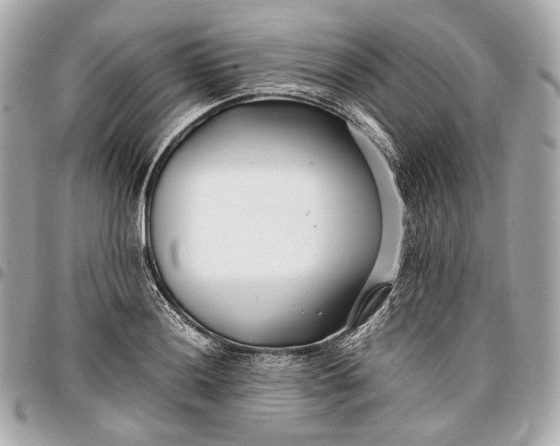 X0000096981036200802221429