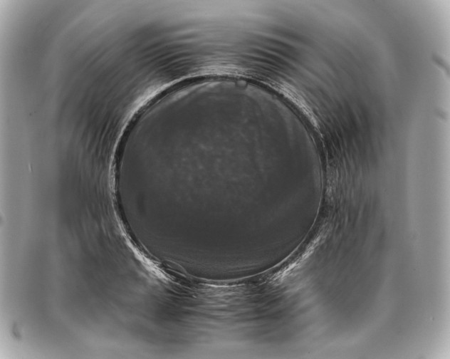 X0000096981037200802221429