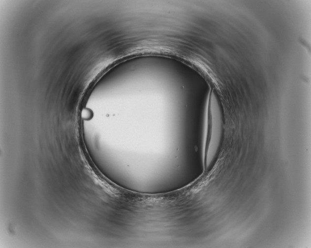 X0000096981038200802221429