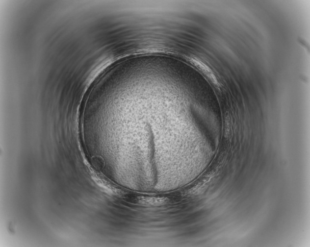 X0000096981039200802221429