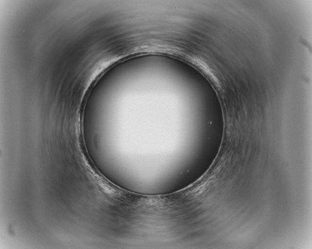 X0000096981040200802221429