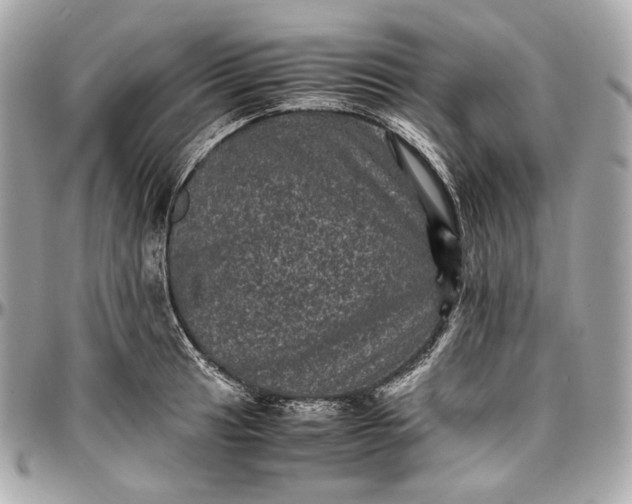 X0000096981041200802221429