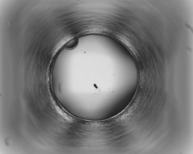 X0000096981042200802221429