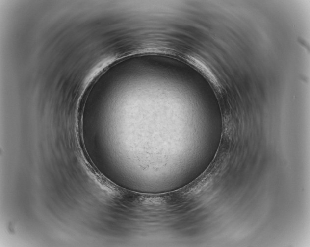 X0000096981043200802221429