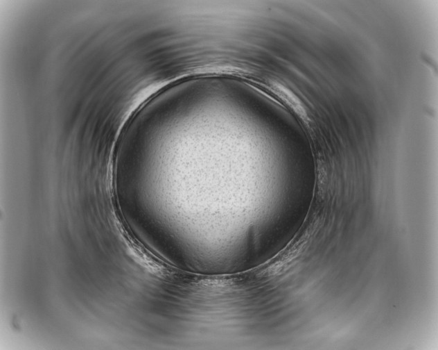 X0000096981044200802221429