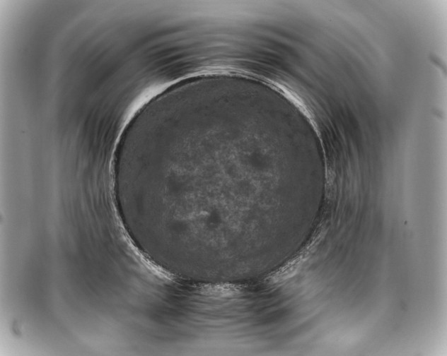 X0000096981045200802221429