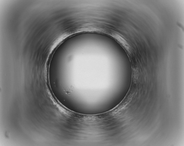 X0000096981046200802221429