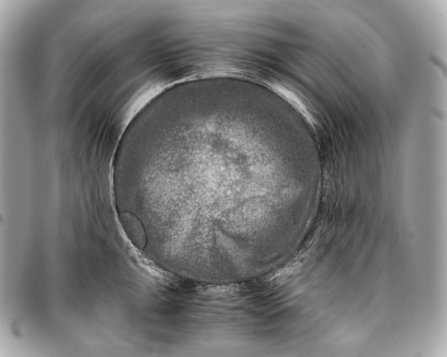 X0000096981047200802221429