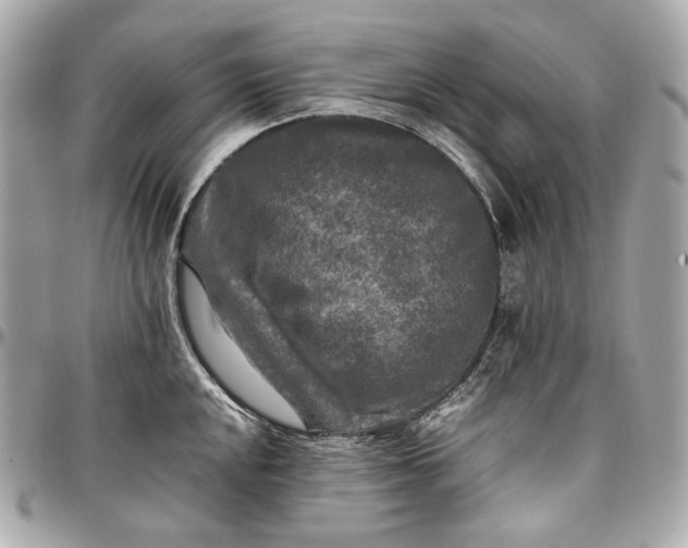 X0000096981048200802221429