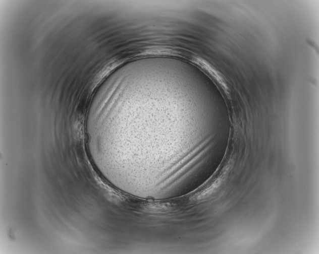 X0000096981049200802221430