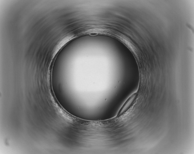 X0000096981050200802221430