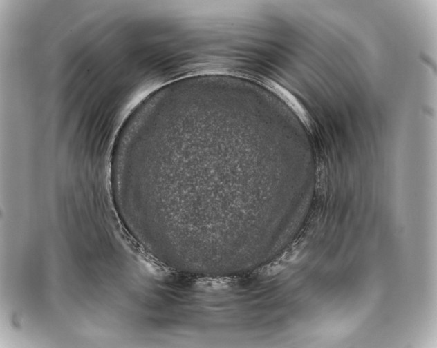 X0000096981051200802221430