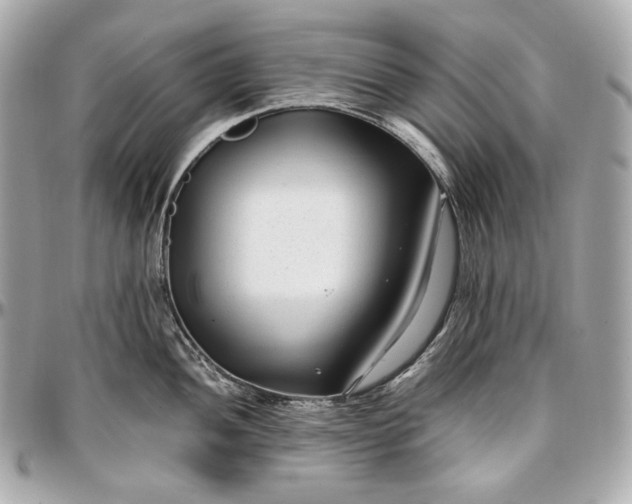 X0000096981052200802221430