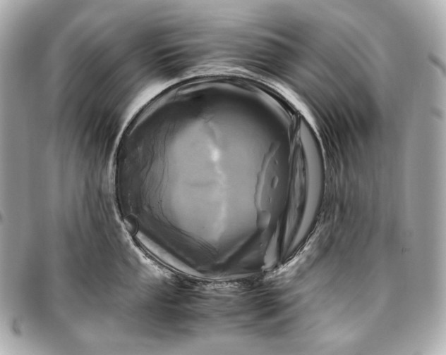 X0000096981053200802221430