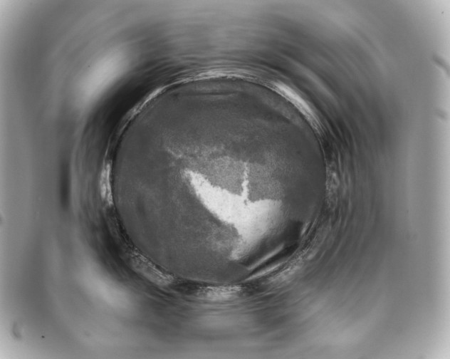 X0000096981055200802221430